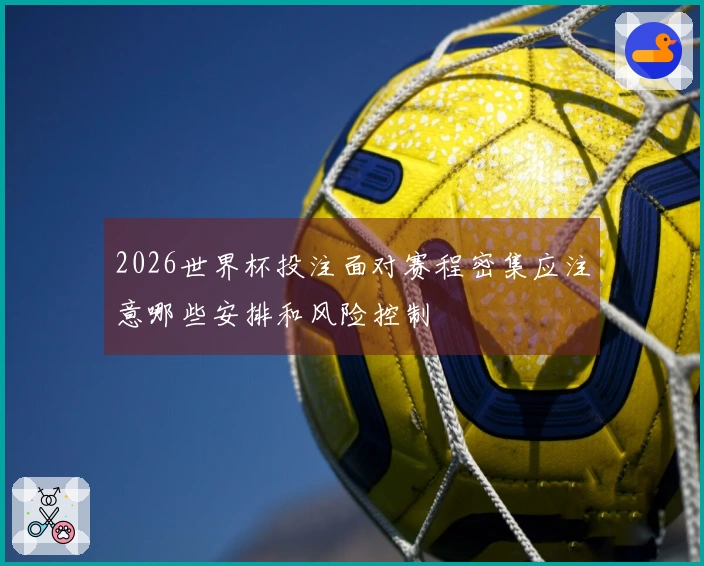 2026世界杯投注面对赛程密集应注意哪些安排和风险控制